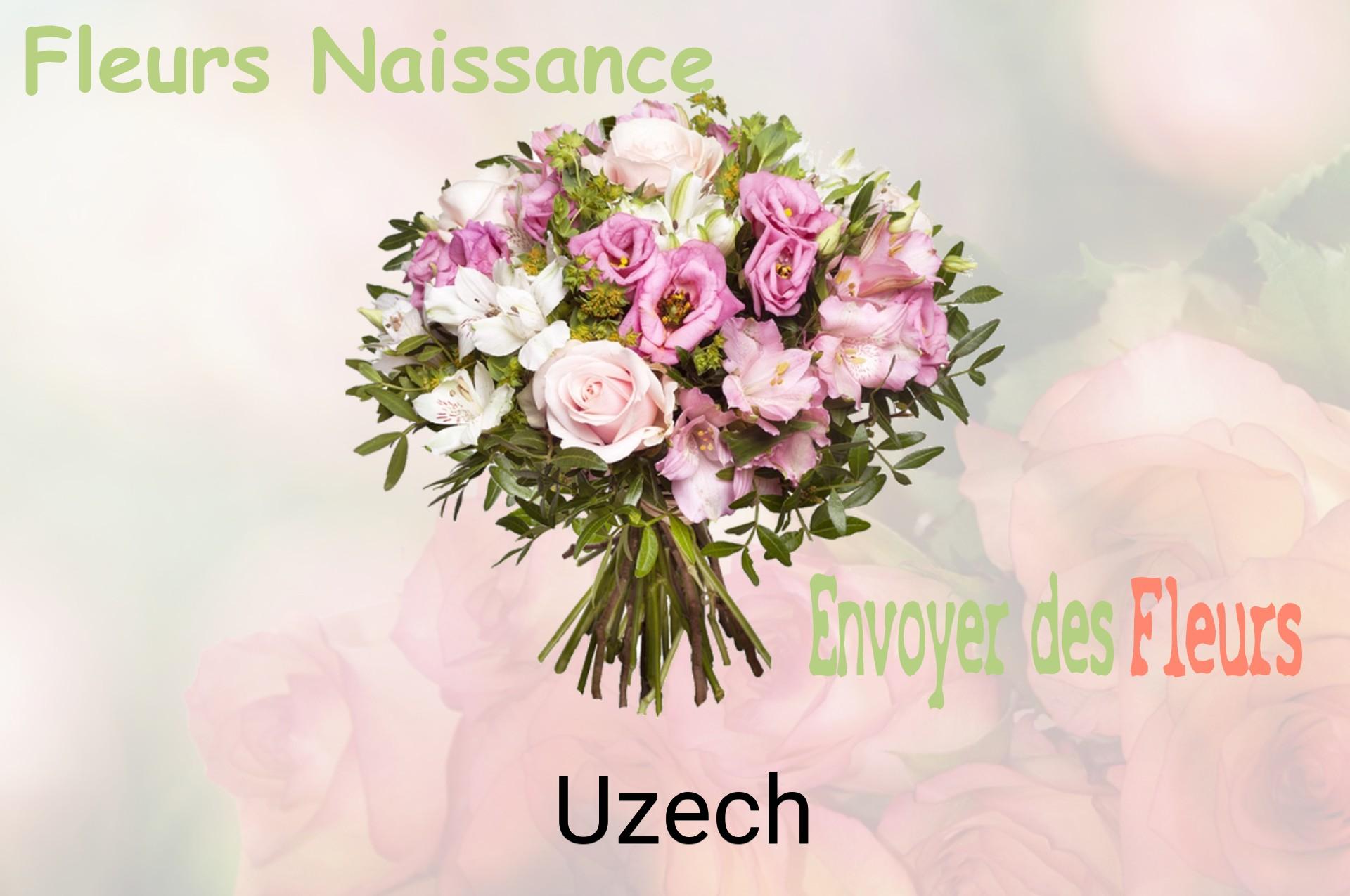 Bouquet de fleurs de naissance livré à Uzech