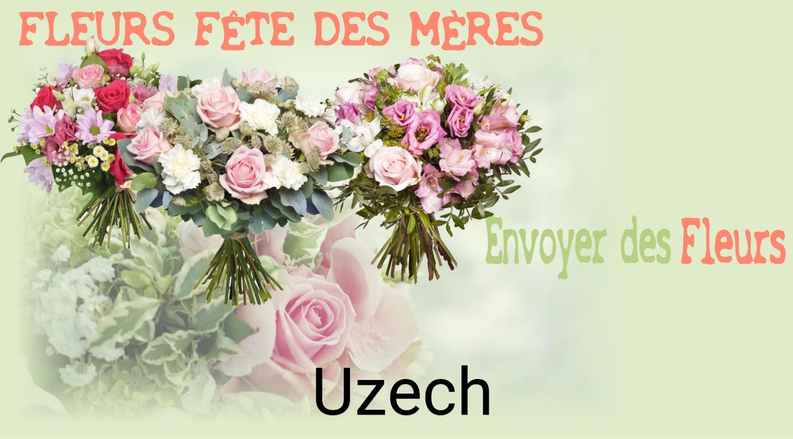 Bouquet de Fête des Mères livré à Uzech